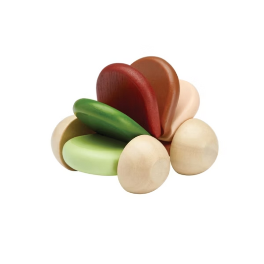 Greppvänlig leksaksbil i trä från PlanToys, ekologisk babyleksak från 6 månader