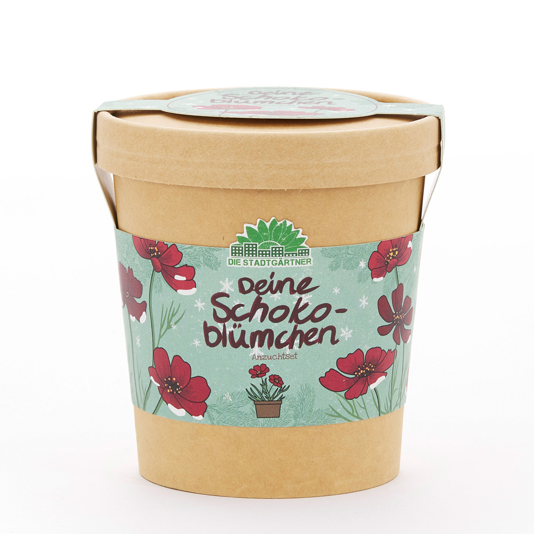 Chokladblommor odlingssats från Die Stadtgärtner – Ekologiska fröer för trädgården