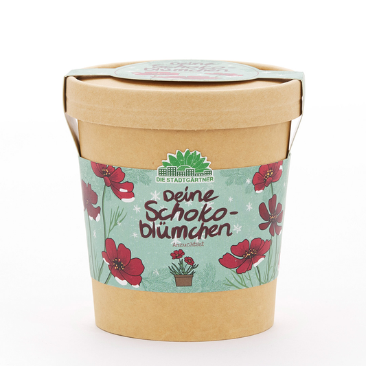 Chokladblommor odlingssats från Die Stadtgärtner – Ekologiska fröer för trädgården