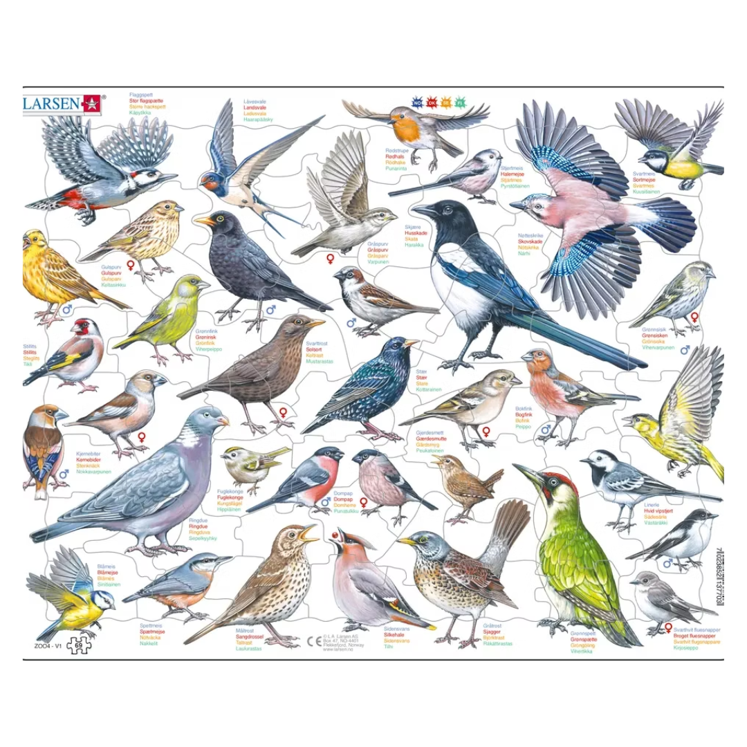 Larsen ekologiskt fågelpussel med 36 bitar och färgglada fågelillustrationer.